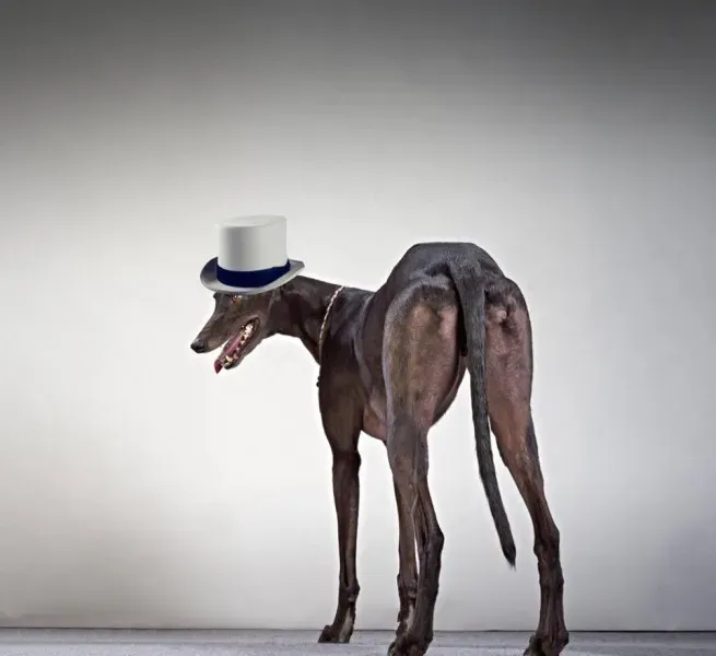 12346344 927958693954653 5629345996786113607 n