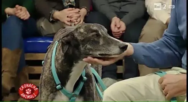 12347635 10206250902403888 1145359271963753374 n