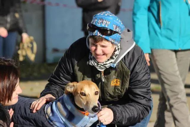 12347711 929738080443381 1179763953456289080 n