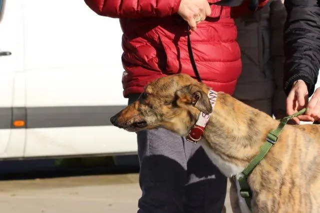 12347842 929739370443252 673212166570208264 n