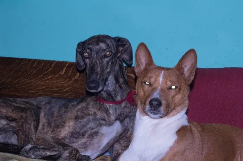 12347928 10207340481937661 7346855834708536975 n