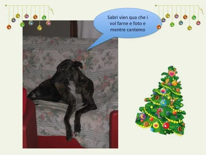 12348001 10207124608771086 1107111586435568006 n