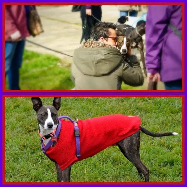 12348027 931368143613708 951259779498057526 n