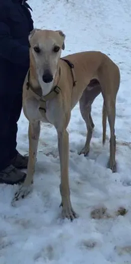 12348102 535392443284140 8196052378433832698 n