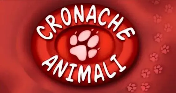 12348134 10206248697148758 4422847399212921107 n