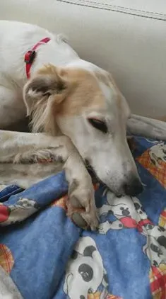 12348250 1017615198258861 1111459727 n