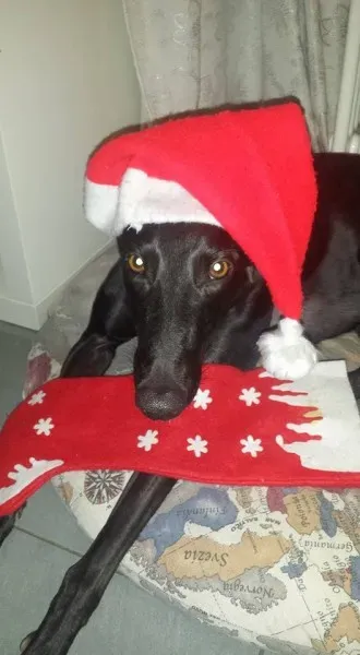 12360091 820495064726065 6166865276611406981 n