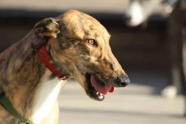 12360258 929739343776588 6207979952317531148 n