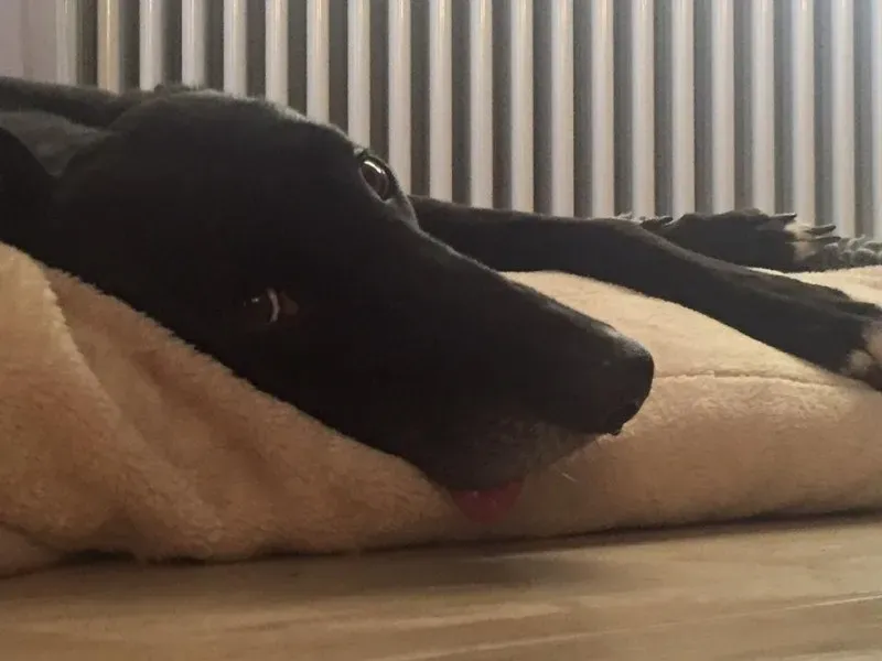 12360336 930499277033928 6732992144756975266 n