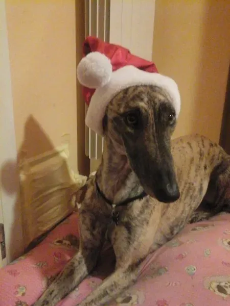 12366300 194056024274522 6010300460026951928 n