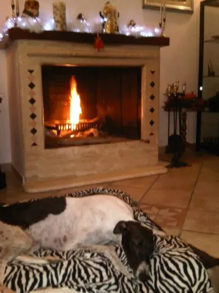 12366356 1670067709871620 795725436774414736 n