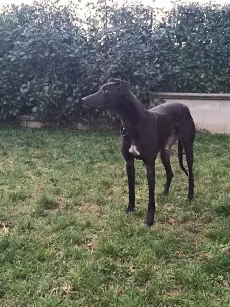 12366426 10208452894583963 8647701130723194899 n