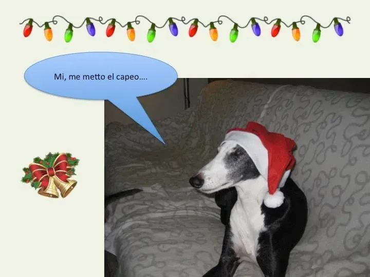 12366468 10207124608731085 2125542417817242583 n