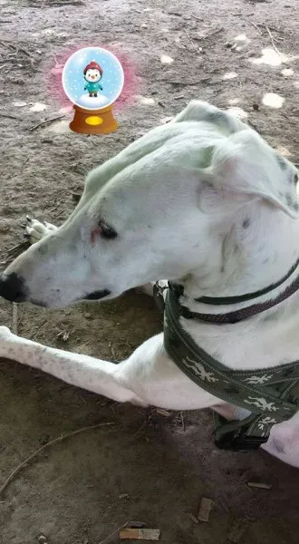 12369025 10206835651662566 5517247173577324272 n