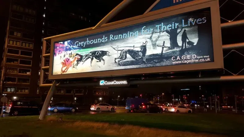 12369048 426595580869001 7438007663471657973 n