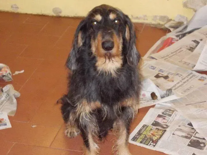 1236938 742993249047876 422396719 n1