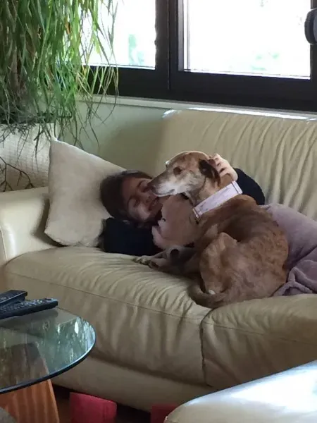 12370808 795005637292108 4844475185663151669 o