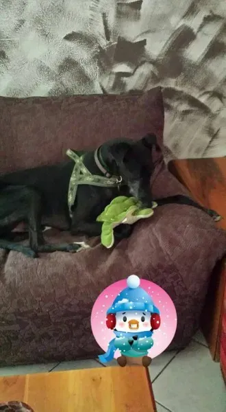 12373360 10206835654302632 8940475720704063133 n