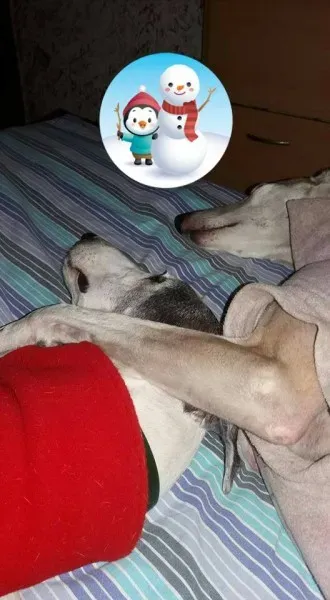 12373376 10206835073208105 3505096691710698919 n