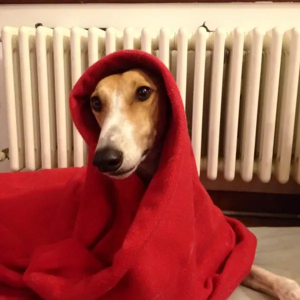 12373387 10207942884360330 2255694309694485031 n