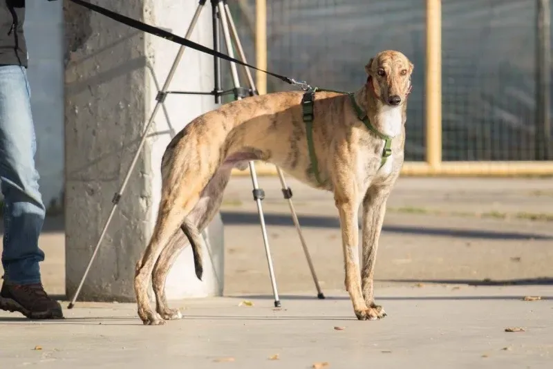 12374968 930565163694006 4426268120165914891 o