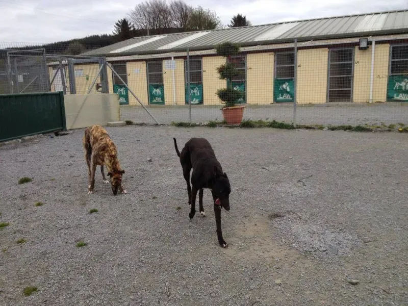 1237513 770573282960373 5358210132677396235 n