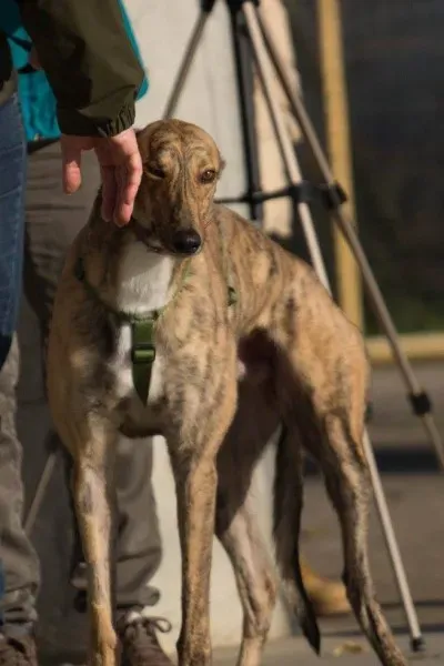 12375186 930565147027341 774234639281003236 o