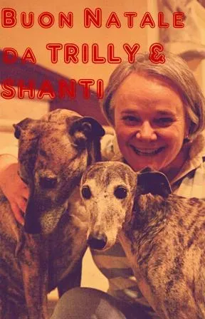 12375985 10208193790345519 6459854092577094885 n