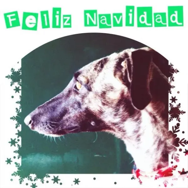 12376025 10206886067021648 3050499627783609577 n