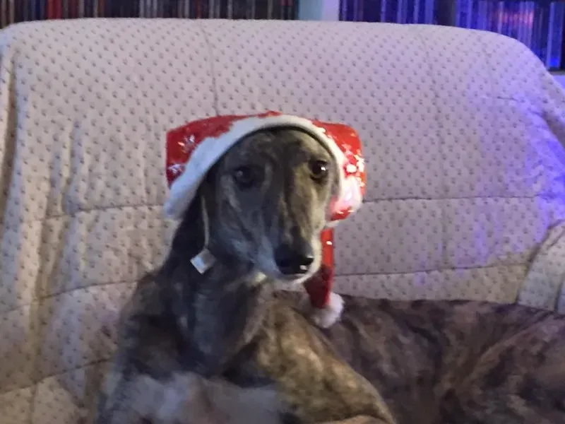 12376046 10203730634746033 5604192896277882921 n