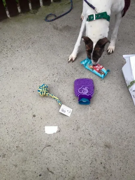 12376105 1135745679776463 3993898636917596069 n