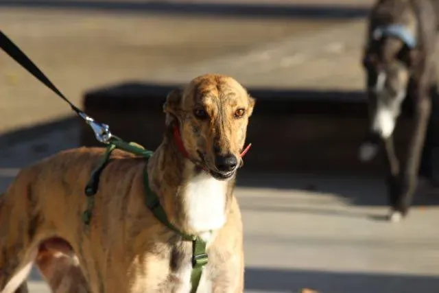 12376119 929739323776590 7080449134294906938 n