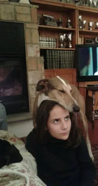 12376213 1111862522157486 1751032339808408147 n