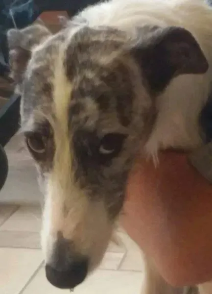 12376296 986328521451003 2402408134698315335 n