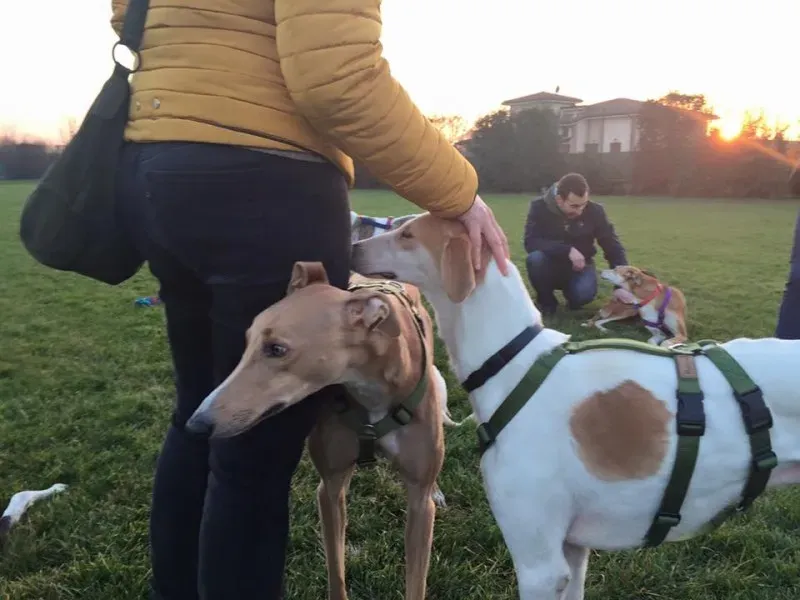 12376430 10203700439871180 4831315996166272504 n