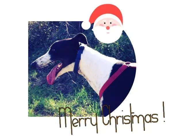 12376434 10206886038100925 3271803326507536561 n