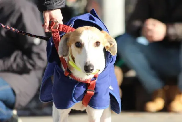 12376476 929738687109987 8386030857231151334 n