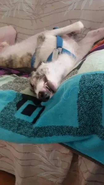 12376654 986328571450998 3893852184909604232 n