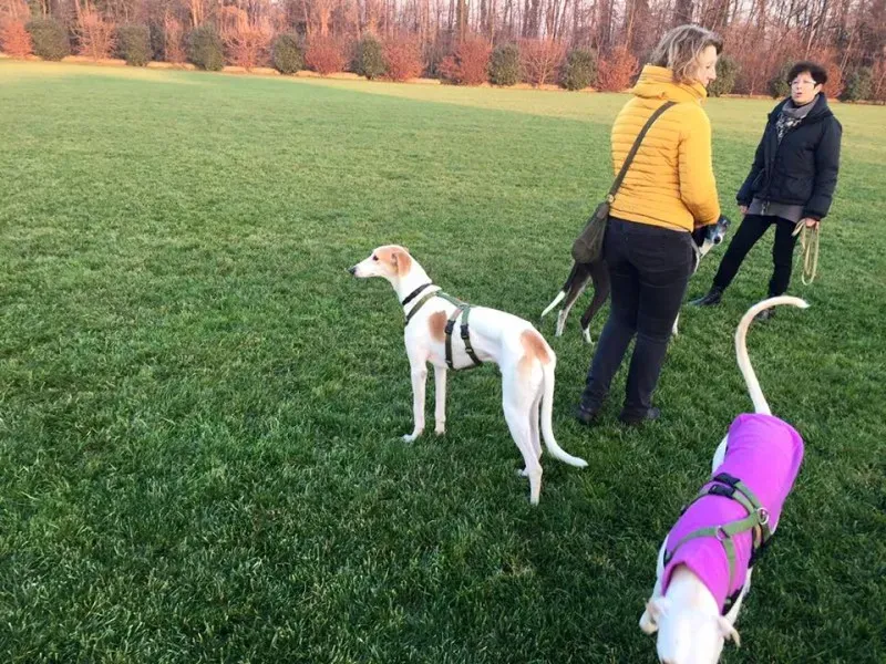 12376754 10203700439351167 706036184762702010 n