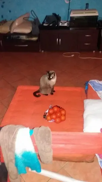 12380129 10207456881372504 539760365 n