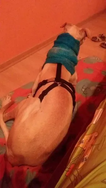 12380215 10207456870932243 1681737452 n