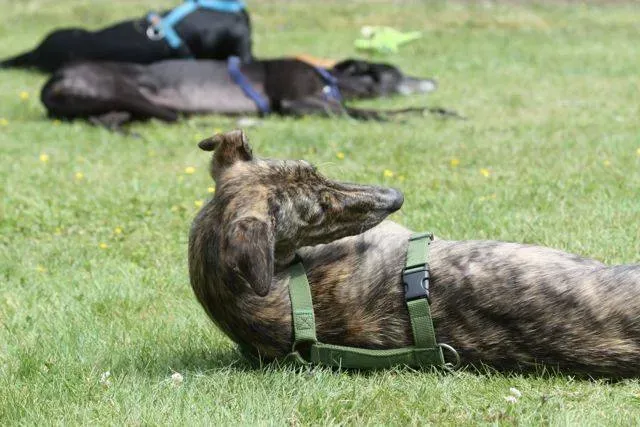 1238286 4721802662684 986706033 n