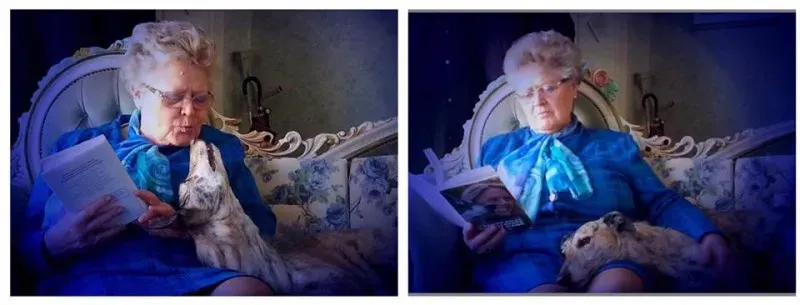 12390922 1488671964774748 3642036823700304657 n