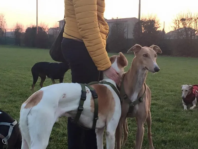 12391025 10203700440391193 1032957834726174110 n