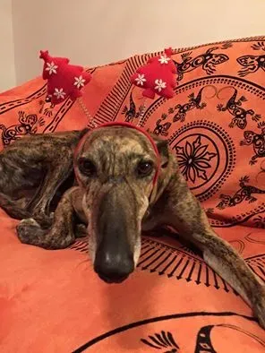 12391116 10208313371651044 4622719274473619449 n