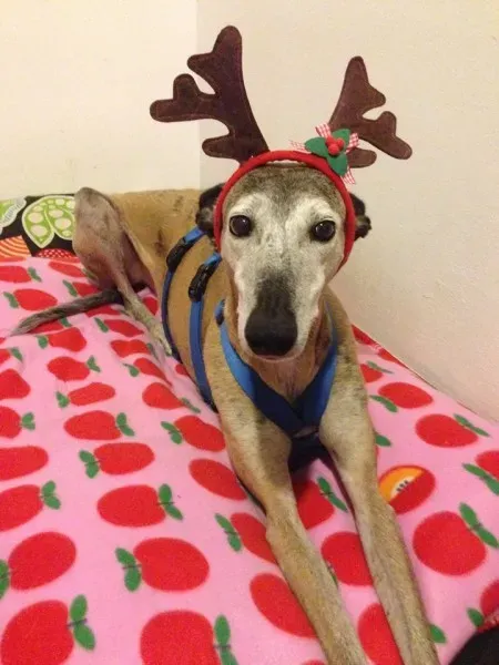 12391421 10208783057400246 8988206292829173122 n