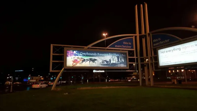 12391808 426595650868994 8949110251291157071 n