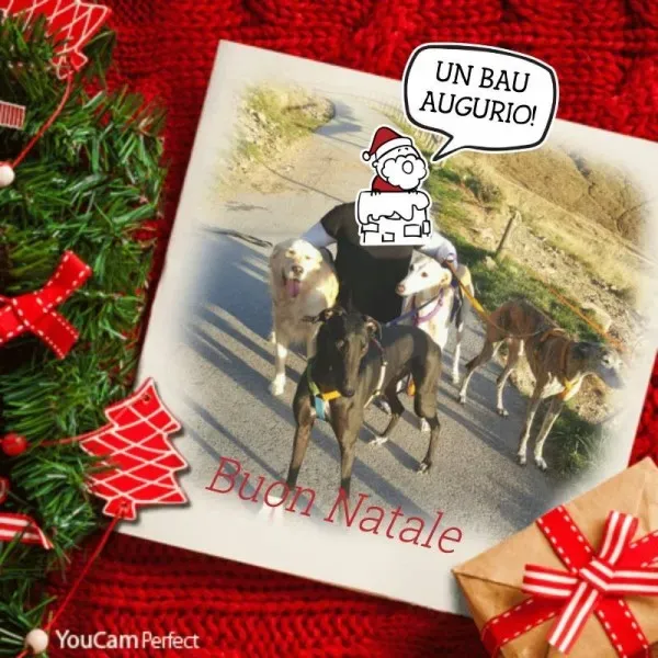 12391992 573158189506210 8719908421031175936 n