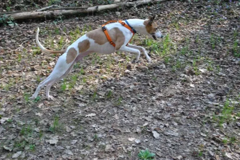 1239624 10202758795082326 951755315 n