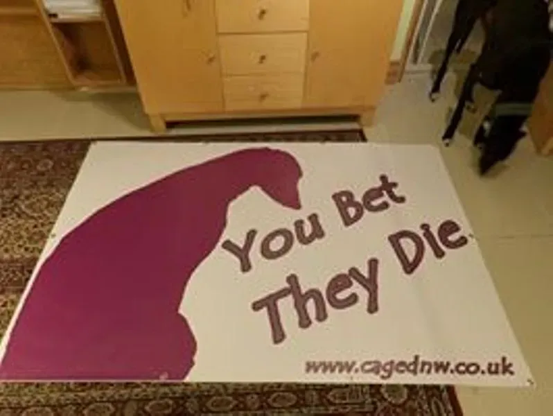 1239706 693139327397549 1979518559 n